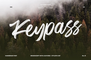 Keypass - Handbrush Font Font Download