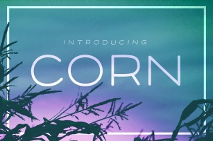 Corn - A clean headline font with Style Font Download