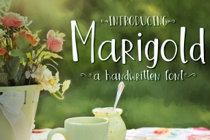 Marigold Font Font Download
