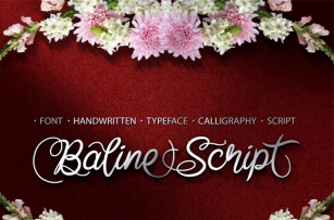 Baline Script Font Download