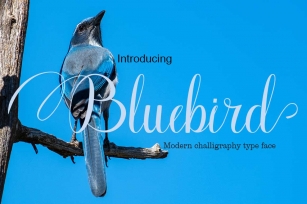Bluebird Font Download