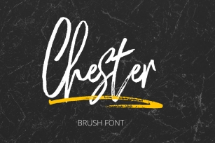 Chester Brush Font Download