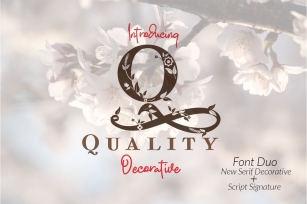 Quality Decorative Font Duo Font Download