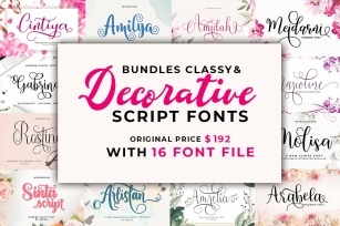 Bundles Classy & Decorative Script Fonts Font Download