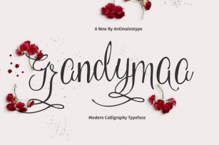 Grandymaa Typeface + Swashs Font Download