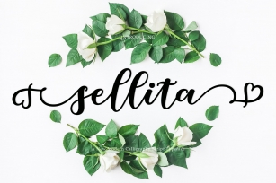 Beautiful New Sellita Script font Font Download