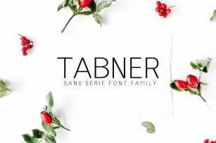 Tabner Sans Serif Font Family Font Download