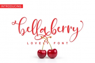 BellaBerry Lovely Script Font Font Download