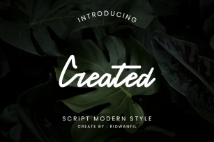Created font - Script Modern Style Font Download