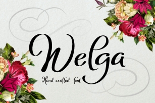 Welga Font Font Download