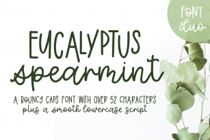 Eucalyptus Spearmint, A Smooth Monoline Font Duo Font Download