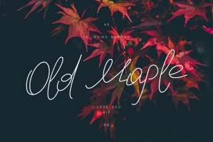 Old Maple Font Download
