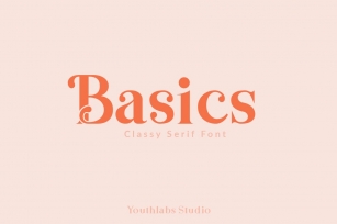 Basics Serif Font Font Download