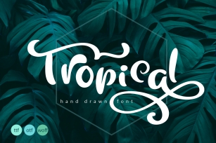Tropical Summer Font Font Download