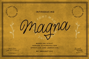 Magna - Monoline Script Font Font Download