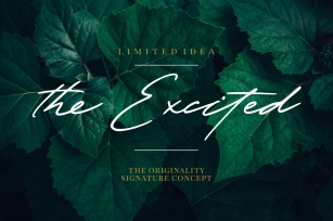 The Excited - Signature Font Font Download