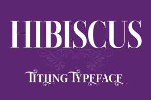 Hibiscus Font Download