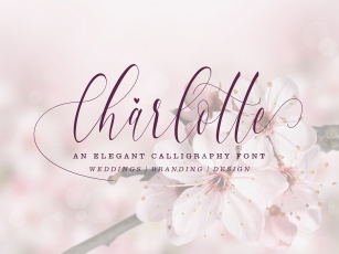 Charlotte Calligraphy Font Font Download