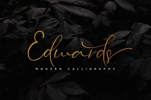 Edwards Casual Stylish Font Download