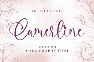 Camerline - Modern Calligraphy Font Font Download
