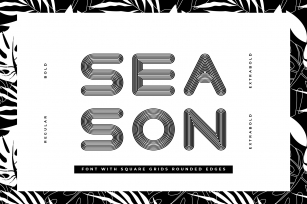 Season Sans - 4 weights Font Download