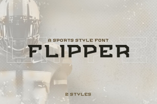 FLIPPER - NFC Font Family Font Download