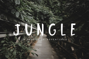 Jungle Display Font Download