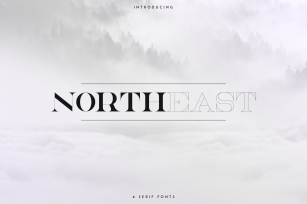 NorthEast - 4 serif fonts Font Download