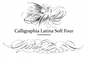 Calligraphia Latina Soft 4 Font Download