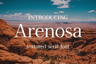 Arenosa | textured serif font Font Download