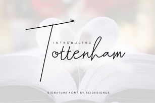 Tottenham Script Font Font Download