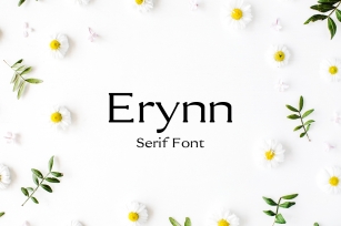 Erynn Serif Font Font Download