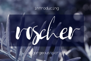 Roscher Font Font Download