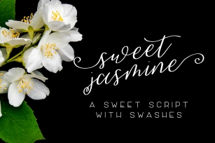 Sweet Jasmine Script Font Download