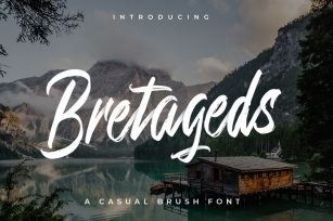 Bretageds Brush Font Font Download