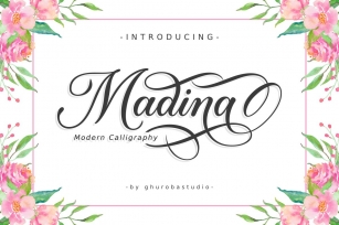 Madina | Modern Calligraphy Font Download
