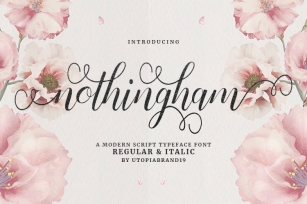 Nothingham Script | Regular & Italic Font Download