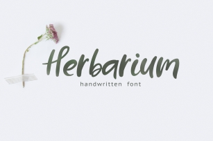 Herbarium font. New Language Update! Font Download