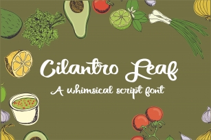PN Cilantro Leaf Font Download
