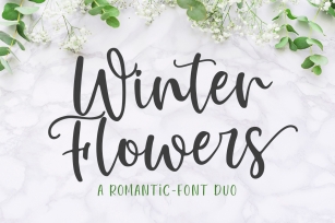Winter Flowers - Font Duo Font Download