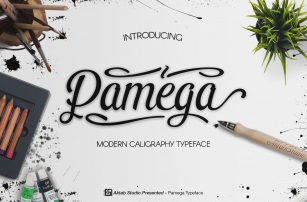 Pamega Script Font Font Download