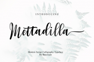 Mettadilla Script||Winter Collection Font Download
