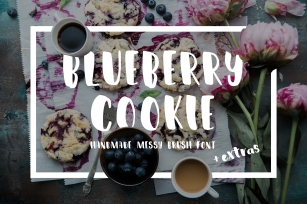 Blueberry Cookie Messy Brush Font Font Download
