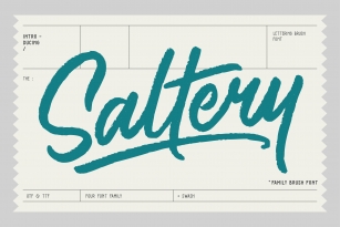 Saltery Brush Font Font Download