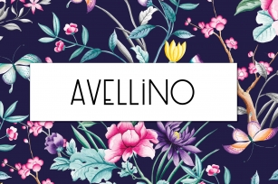 Avellino | Multilingual Sans Serif Font Download