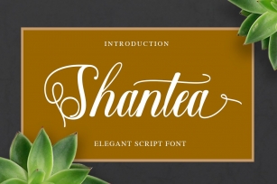 Shantea Script Font Download