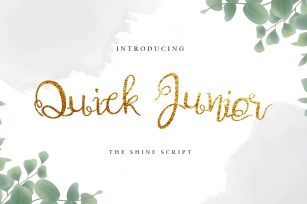Quick Junior Decorative Calligraphy Font Download