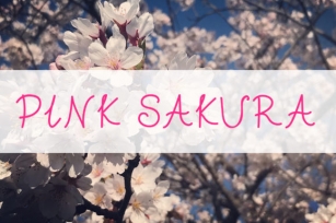 Pink Sakura Font Download
