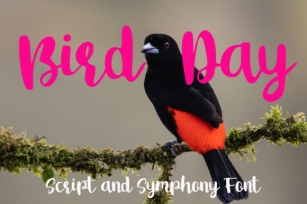 Bird Day Font Download
