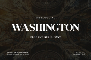Washington Display Serif Font Download